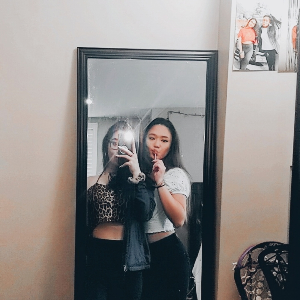 Cheetah print crop top